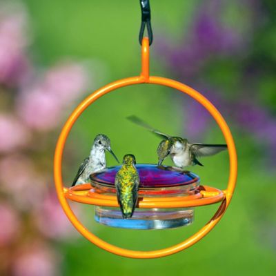 Image showing  Hummble Bold Hummingbird Feeder, 3.4 oz. Capacity, Orange