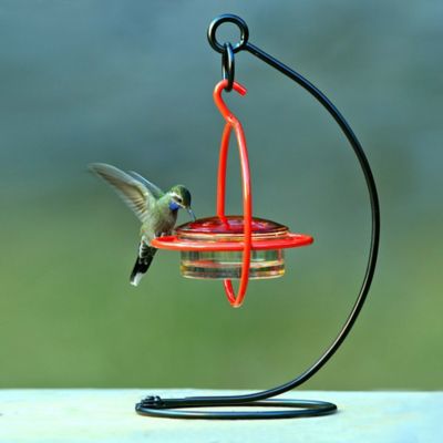 Image showing  Tabletop Bird Feeder Stand, 12 in.