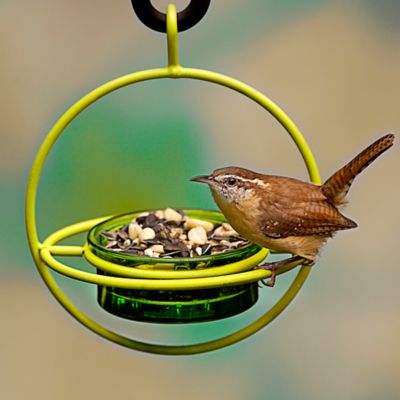 Image showing 3 th Mosaic Birds Hummble Bold Bird Feeder, 3.4 oz. Capacity, Lime