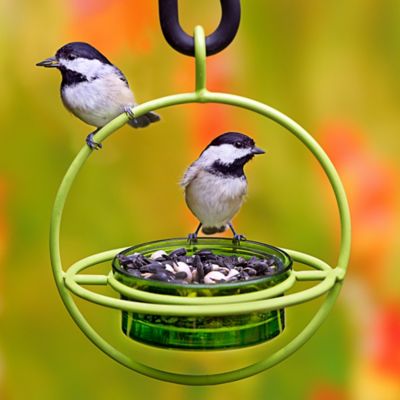 Image showing 4 th Mosaic Birds Hummble Bold Bird Feeder, 3.4 oz. Capacity, Lime