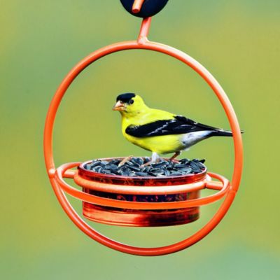 Image showing  Hummble Bold Bird Feeder, Orange