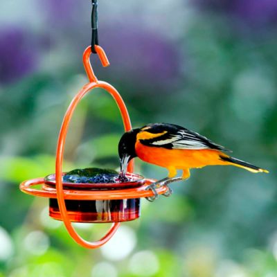 Image showing  Hummble Bold Bird Feeder, Orange