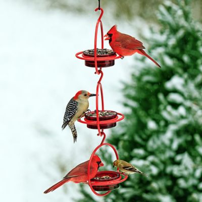 Image showing  Hummble Bold Bird Feeder, 3.4 oz. Capacity, Red