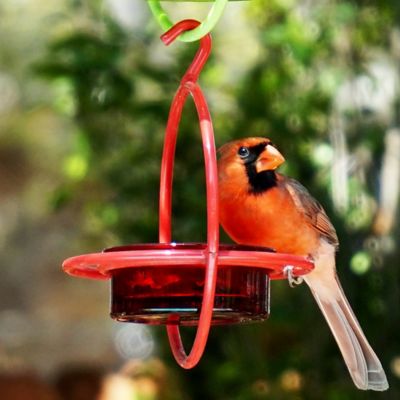 Image showing  Hummble Bold Bird Feeder, 3.4 oz. Capacity, Red
