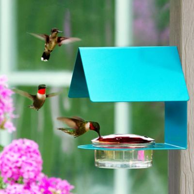 Image showing 1 th Mosaic Birds Cottage Hummingbird Feeder, 3.4 oz. Capacity, Aqua