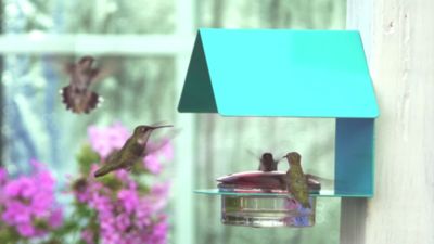 Image showing  Cottage Hummingbird Feeder, 3.4 oz. Capacity, Aqua