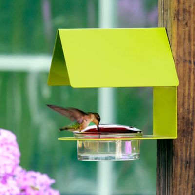 Image showing  Cottage Hummingbird Feeder, 3.4 oz. Capacity, Lime