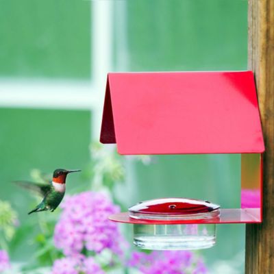 Image showing  Cottage Hummingbird Feeder, 3.4 oz. Capacity, Red