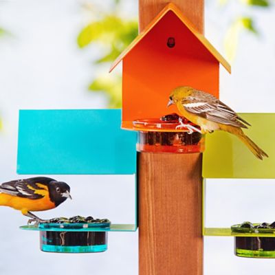 Image showing  Cottage Bird Feeder, Aqua
