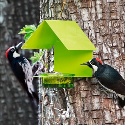 Image showing  Cottage Bird Feeder, Lime