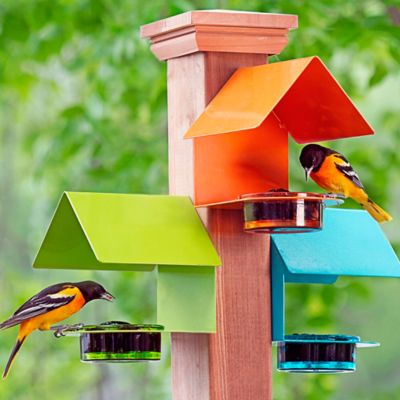 Image showing  Cottage Bird Feeder, Lime