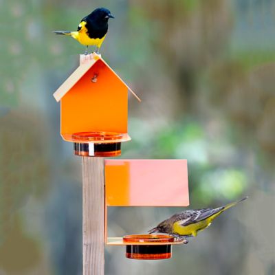 Image showing  Cottage Bird Feeder, Orange