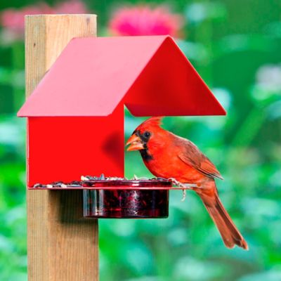 Image showing  Cottage Bird Feeder, Red