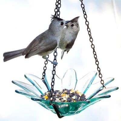 Image showing  Hanging Daisy Glass Bird Feeder, 10.1 oz. Capacity, 8 in., Clear