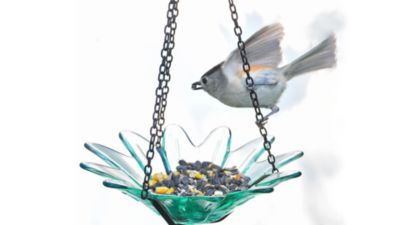 Image showing  Hanging Daisy Glass Bird Feeder, 10.1 oz. Capacity, 8 in., Clear