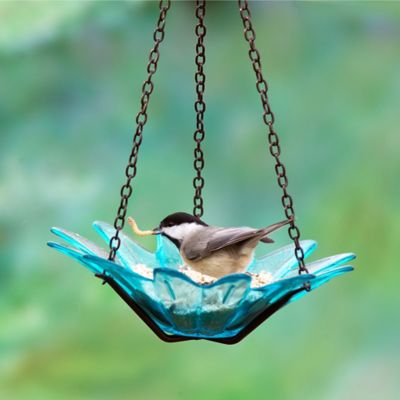 Image showing  Hanging Daisy Glass Bird Feeder, 10.1 oz. Capacity, 8 in., Aqua