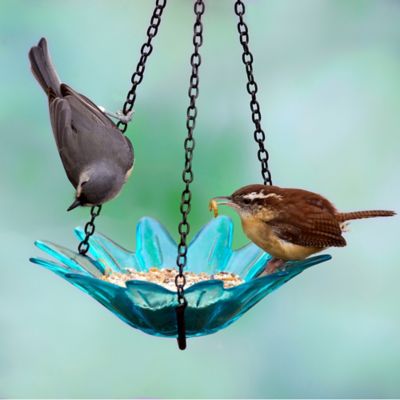 Image showing  Hanging Daisy Glass Bird Feeder, 10.1 oz. Capacity, 8 in., Aqua