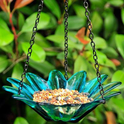 Image showing  Hanging Daisy Glass Bird Feeder, 10.1 oz. Capacity, 8 in., Aqua