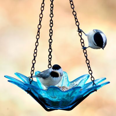Image showing  Hanging Daisy Glass Bird Feeder, 10.1 oz. Capacity, 8 in., Aqua