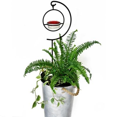 Image showing  43.75 in. Hummble Garden Stake