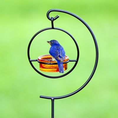 Image showing  43.75 in. Hummble Garden Stake