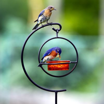 Image showing  43.75 in. Hummble Garden Stake