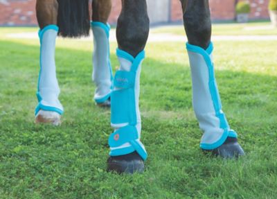 Shires Arma Horse Fly Turnout Socks, Teal, 4 ct.