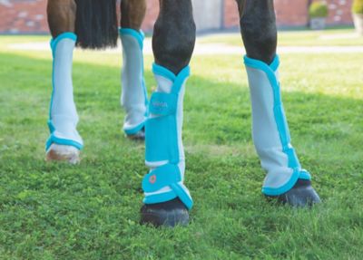 Image showing  Arma Horse Fly Turnout Socks, Teal, 4 ct.