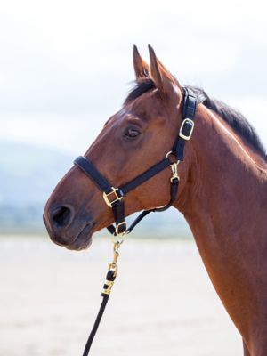 Shires Nylon Topaz Horse Halter with Breakaway Attachment