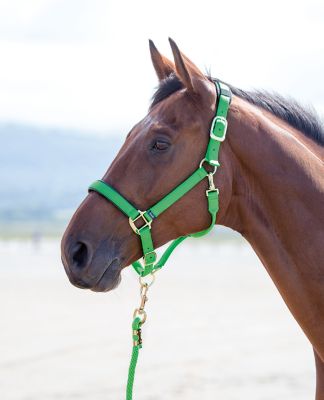 Image showing  Topaz Nylon Breakaway Horse Halter