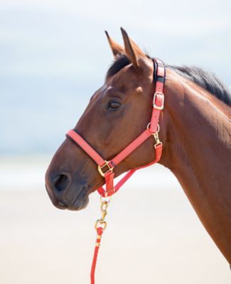 Shires Topaz Nylon Breakaway Horse Halter