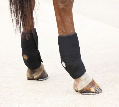 Image showing  Arma Hot/Cold Joint Relief Horse Boots, 2 ct.