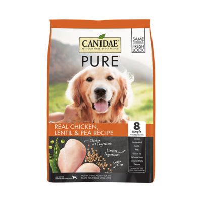 grain free lentil free dog food