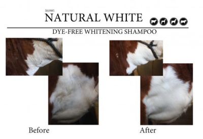 Image showing  Natural White Dye Free Livestock Shampoo, 1 qt.