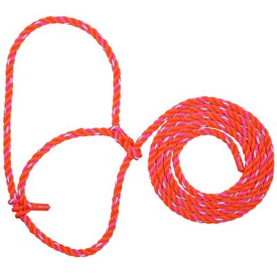 Image showing  13 ft. Rope Livestock Halter, 1/2 in.