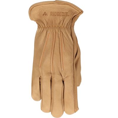 Image showing  Women's Water-Resistant Goatskin Leather Driver Gloves, 1-Pair
