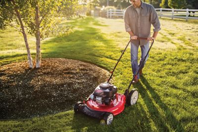 Image showing  21 in. 140cc Gas-Powered 2-in-1 High-Wheel Push Lawn Mower