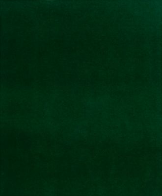 6' x 8' Dilour Indoor/Outdoor Rug Green - Foss Floors