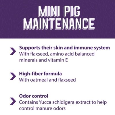 Image showing 5 th Mazuri Mature Maintenance Mini Pig Feed, 25 lb. Bag