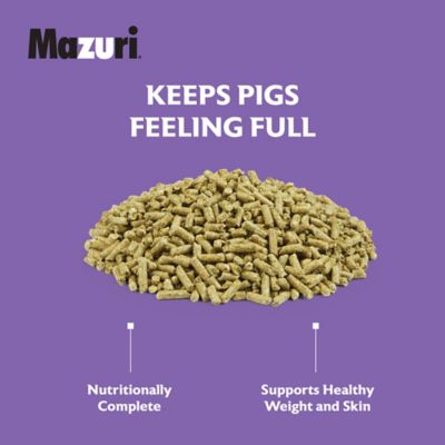 Image showing 6 th Mazuri Mature Maintenance Mini Pig Feed, 25 lb. Bag
