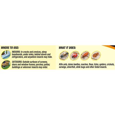 Image showing  Bug Stop Insecticide Spray