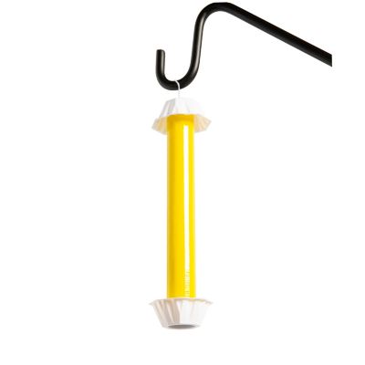 Image showing  Fly Bait Sticks