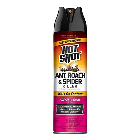Hot Shot 17.5 oz. Ant, Roach and Spider Insect Killer