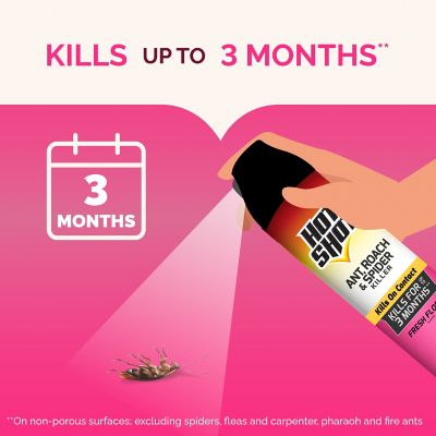 Image showing  17.5 oz. Ant, Roach and Spider Insect Killer