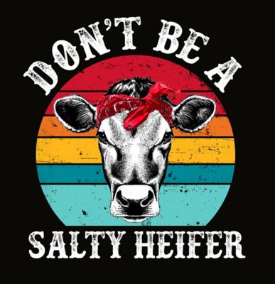 Lost Creek Women's Short-Sleeve Spinner Salty Heifer Graphic T-Shirt