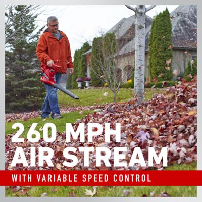 Image showing  340 CFM Ultra Corded Electric Leaf Blower/Vac