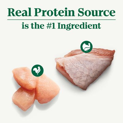 Image showing  Adult Grain-Free Chicken and Turkey in Gravy Wet Dog Food Variety pk., 3.5 oz. Can, Pack of 12