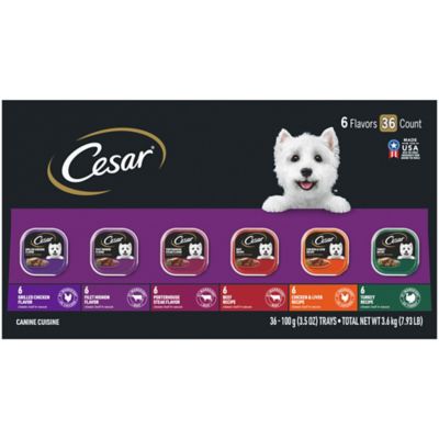 Cesar Wet Dog Food Classic Loaf Grilled Chicken, Filet Mignon, Porterhouse Steak, Beef,Variety Pack (36) TSC Bulk Dog Food- Savings are great!!