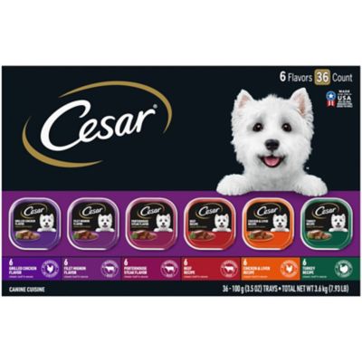 cesar chicken dog food