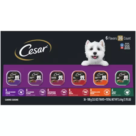 Cesar Classic Adult Wet Dog Food Grilled Chicken Filet Mignon Steak and Porterhouse Beef Recipe 3.5 oz 36 Pack Wet Dog Food